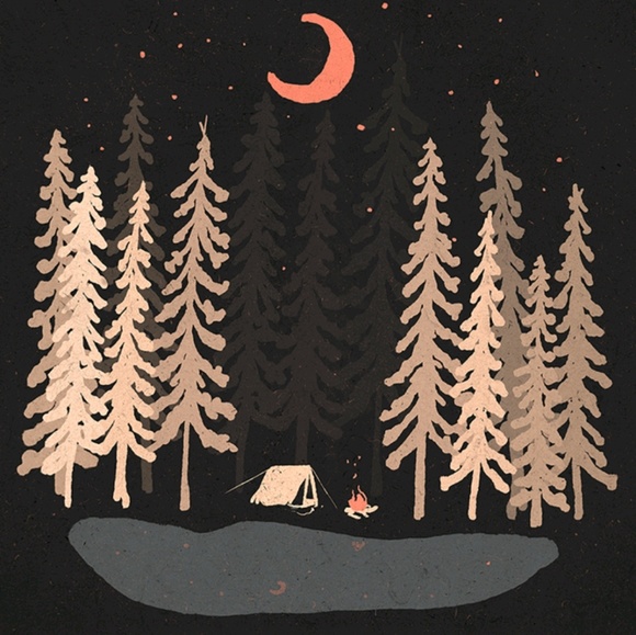 Meet your Posher, Tyler - Picture 1 of 1